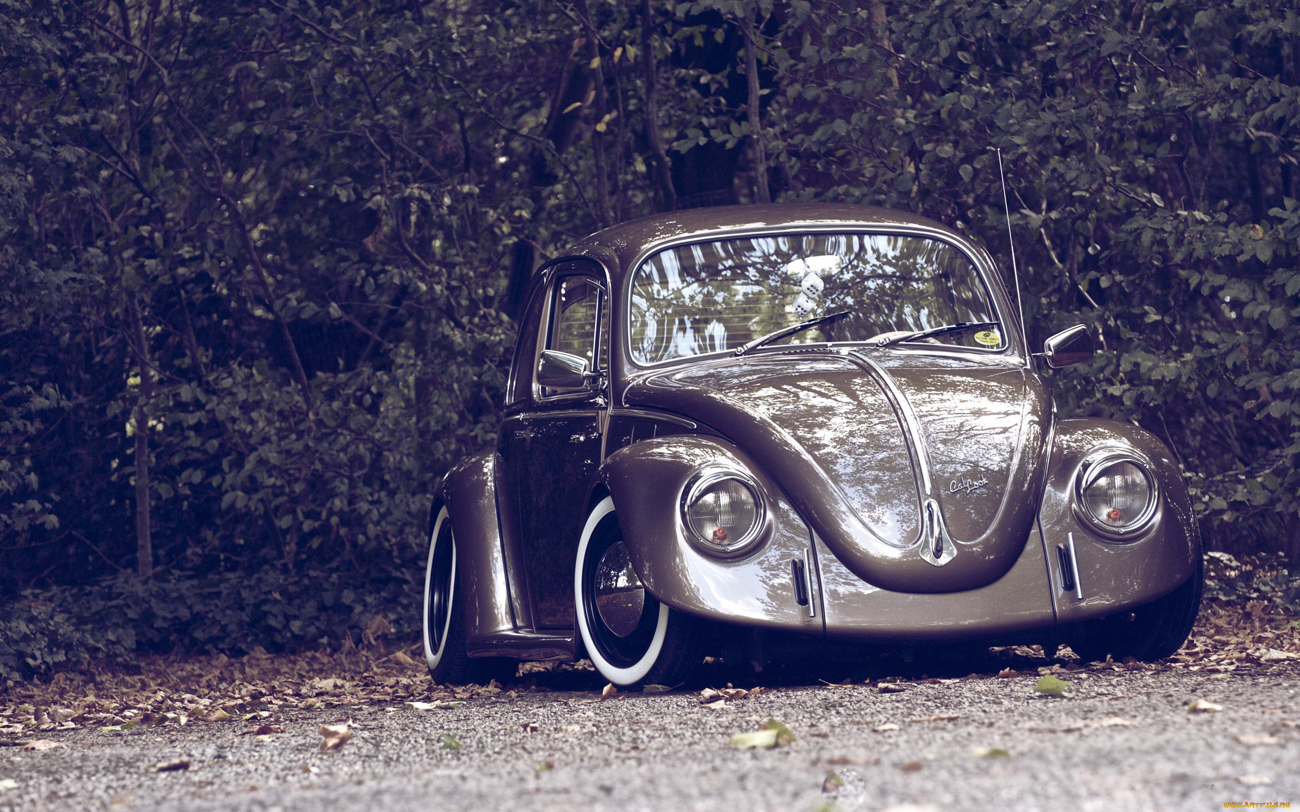 , volkswagen, vw